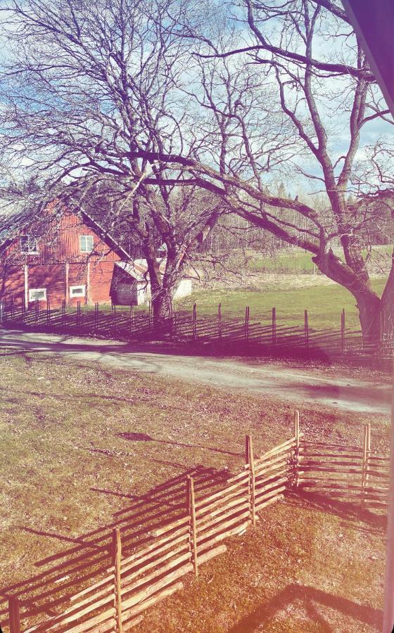 Ruth & Iris Farmhouse เนเฮอ ภายนอก รูปภาพ